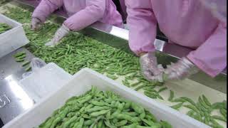 Packing video of frozen edamame