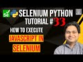 Selenium Python Tutorial #33 - How to execute JavaScript in Selenium