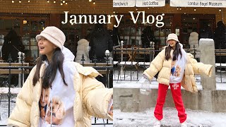 음대생 1월 브이로그 ❆　*❆ • . 그리고 요즘 근황토크 및 앞으로의 계획도 사알짝 공개... January Vlog