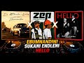 Ebumnandini X Sukani Endleleni X Hello (Mashup) 