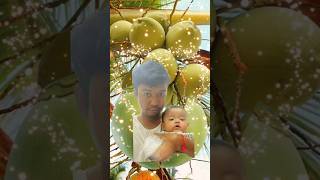 Savita with daddy so funny#0261 #shortvideo #fruit #sibling #prankvideo #funyfamily #bayigemes #bayi