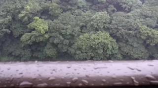 ウェザーリポート動画0801@神奈川県横須賀市15:50「更に激しい雨に」