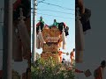 【宮出し】📍愛媛 ehime｜八雲神社秋季例大祭 yagumo jinja shrine autumn festival 土居町秋祭り 八雲神社秋季例大祭 愛媛 ehime japan