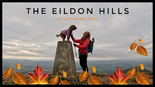 The Eildon Hills: An Autumnal Hike