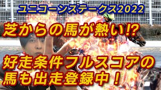 【ユニコーンステークス2022】芝からの馬が熱い！？また、好走条件フルスコアの馬が1頭！その馬は一体どの馬か！？4頭プラスアルファで的中をもぎ取る！