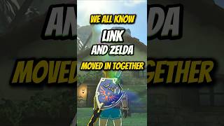 The Sad Reason Link Moved | Zelda Theory