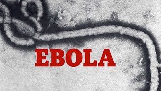 Six facts you need to know about Ebola as it threatens West Africa