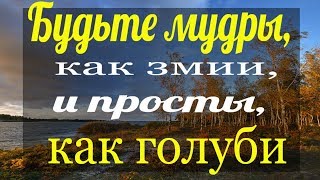 Будьте мудры, как змии, и просты, как голуби...- Пестов Н.Е.