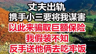 丈夫出轨，携手小三要将我谋害，以此来骗取巨额保险，我假装不知，反手送他俩去吃牢饭！