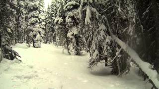 Allison Pass. Manning Park, BC 02-15-2014 (backcoutry)