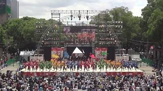 2018 日本ど真ん中祭り　愛知淑徳大学　鳴踊