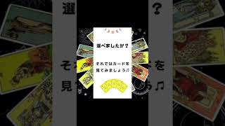 8月16日(火)ハッピータロット