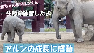 一生懸命練習するアルンの成長に感動/1歳になった赤ちゃん象アルンくん