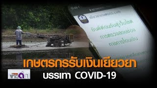 เกษตรกรรับเงินเยียวยาบรรเทาCOVID-19 l TNNข่าวดึก l 8 พ.ค. 63