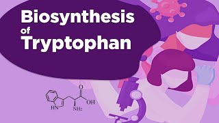 Biosynthesis of Tryptophan