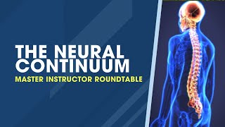 Discussing the Neural Continuum