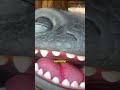 Toothless meet-and-greet at Epic Universal #EpicUniversal #HowToTrainYourDragon