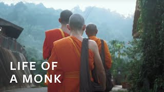The Daily Alms Round Routine | Life of a Monk