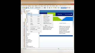 Create Java RMI Application in Netbeans [ Tutorial ]