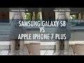 Samsung Galaxy S8 Vs Apple iPhone 7 Plus Camera Comparison