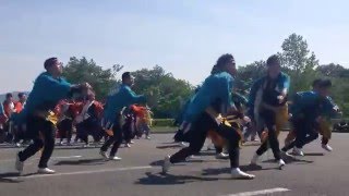 勝山組 2015/05/10(日) 第七回しらさぎフェスタ