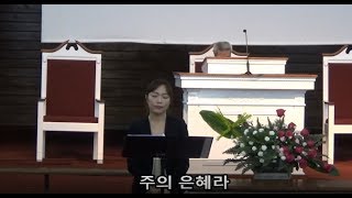 [달라스 동부장로교회 헌금송] 주의 은혜라, 한은경 사모