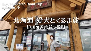 【秀岳荘で散財】層雲峡から美瑛の景観を楽しみながら富良野へ、夜は吹上温泉ふれあいキャンプ場♪北海道 愛犬とキャンピングカーの旅 2021 EP19【くるま旅】【ワンコと車中泊】