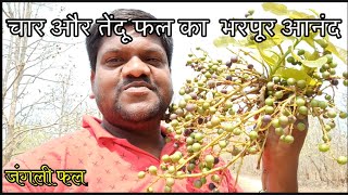 चार,एवं तेंदू फल का भरपूर आनंद लिया || char aur tendu ka bharpur aanand