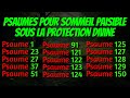 PSAUMES POUR SOMMEIL PAISIBLE SOUS LA PROTECTION DIVINE (Psaumes 1, 23, 27, 37, 51,91,127,129,139)