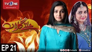 Jaltay Gulab | Episode 21 | TV One Drama | 30th November 2017