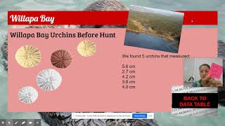 Urchin Hunt Data Set 2