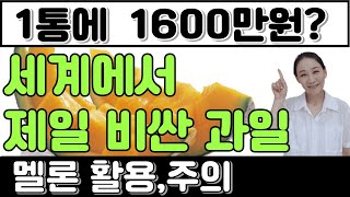 1통에 1600만원? 세계에서 제일 비싼 과일 멜론의 활용법_한약건식097_한약사김경순의 건강식재료