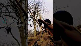 Hunting Big bird 🕊️#Hunter catching Bird's 🕊️#short#Viral#veadio😍❤️