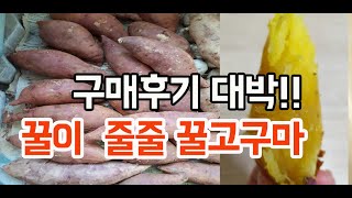 구매후기 폭발!! 꿀이 줄줄 꿀고구마 꼭 한번 드셔보세요