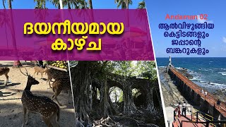 ദയനീയമായ കാഴ്ച. | ആല്‍വിഴുങ്ങിയ കെട്ടിടങ്ങളും ജപ്പാന്റെ ബങ്കറുകളും. Andaman 02