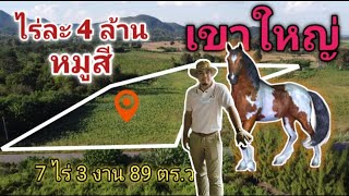 Land for sale in Khao Yai, Mu Si Subdistrict, next to the asphalt road, 4 million baht per rai.