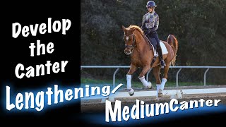Develop the Canter Lengthening/ Medium Canter