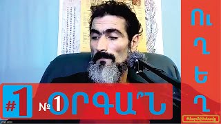 ՈՒՂԵՂ #1-Ուղեղը թիվ մեկ օրգան՞