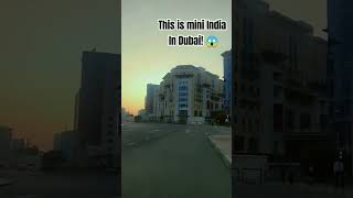 Mini India in Dubai 😱 #dubai