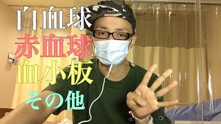 ざっくり教えて⁉️白血病ってどんな病気なの？？