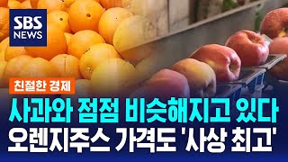 오렌지주스 가격도 사상 최고…식량 위기 불안 키우는 '기후플레이션' / SBS / 친절한경제