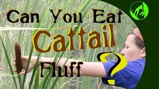 Can you eat cattail fluff?