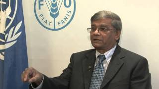 FAO Director-General meets M.A Mannan, Minister of State of Finance of Bangladesh