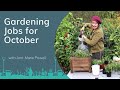 Planting for Autumn Colour | Gardening Jobs for October with Ann-Marie Powell