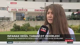 Ispanak Değil Yabani Ot Zehirledi 20.10.2021 TURKEY