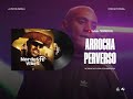 arrocha perverso mc gw mc jhey dj marcÃo 019 e dj erik jp