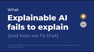 NBDT: What Explainable AI Fails to Explain