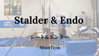 Stalder \u0026 Endo Break down \u0026 Useful drills compilation