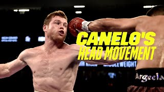 Canelo's Head Movement Is Out Of This World 🤯