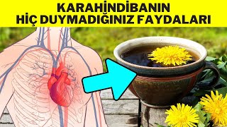 KARAHİNDİBANIN FAYDALARI - KARAHİNDİBA ÇAYI NASIL YAPILIR? -HİNDİBA OTUNUN FAYDALARI